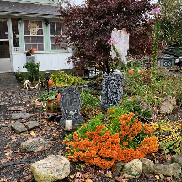 ๐ป2019 Halloween Yard & My โZEROโ Dog Creation!๐ฆ - Picture 4 of 8